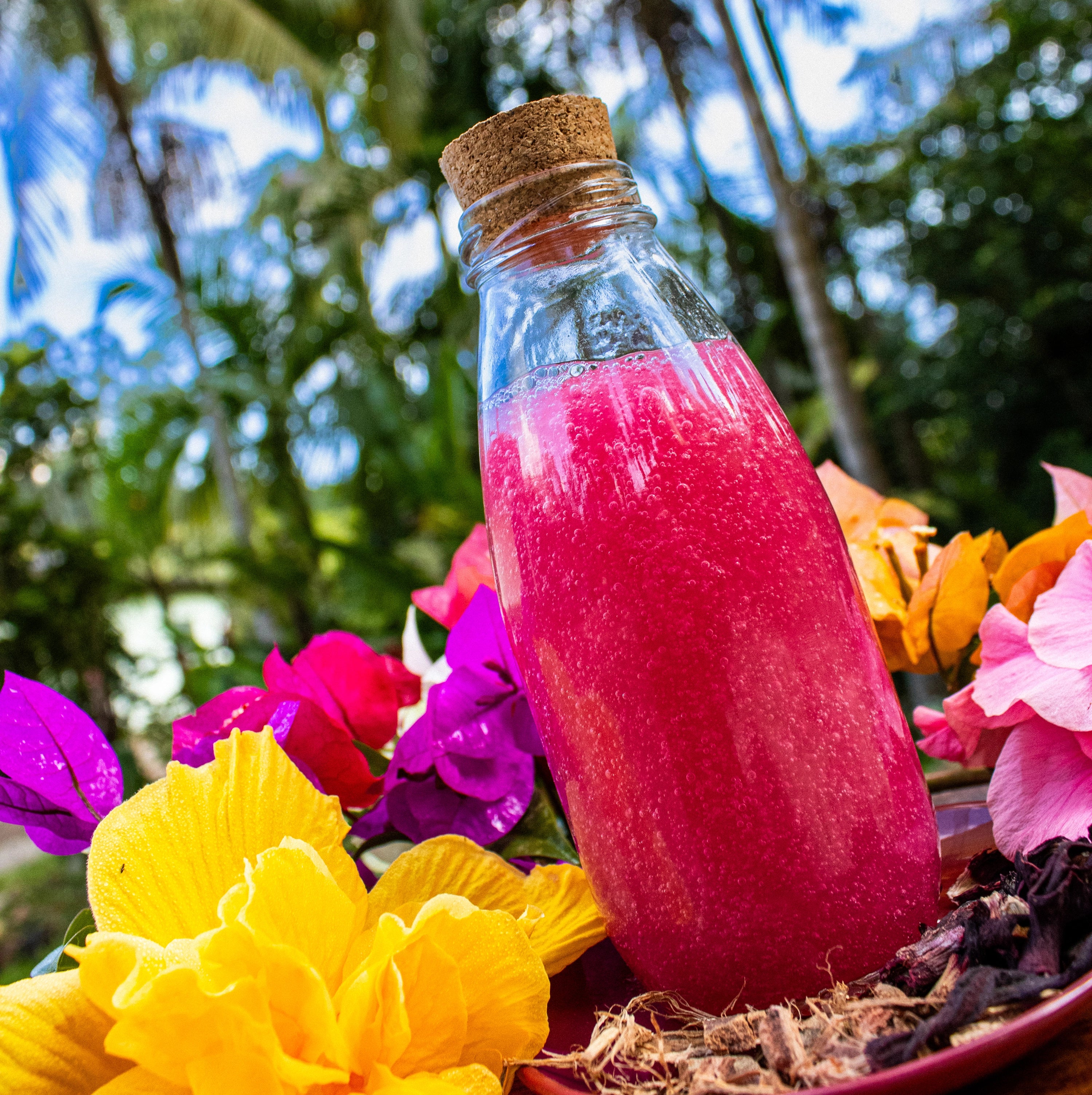 Geleia de Banho Natural - Barbatimão & Hibisco